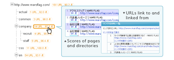 Website directory structure